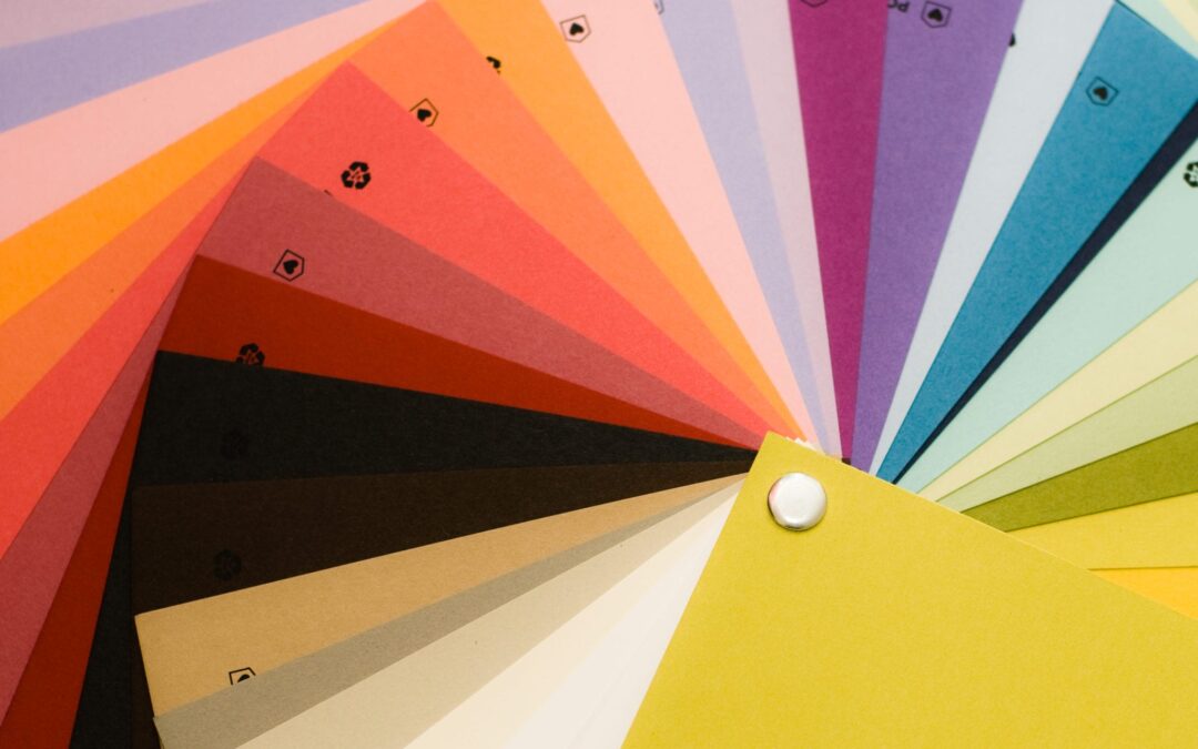 Branding Process Guide: The Colors